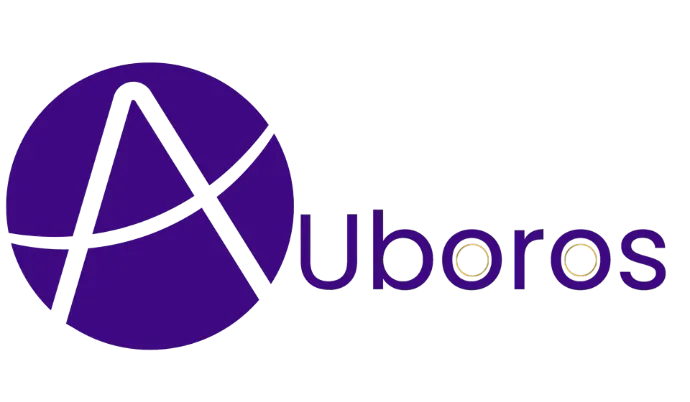 The Auboros team, ERP implementation partner Australia